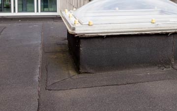 disadvantages of Northend flat roofs