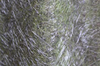 Northend fibreglass roof work